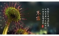 今日寒露 | 裊裊涼風(fēng)動(dòng)，凄凄寒露零